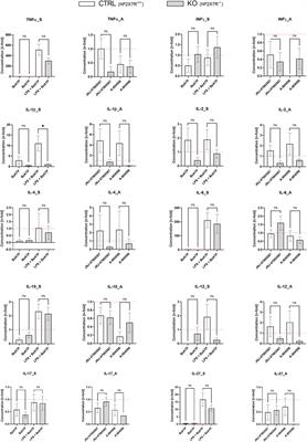 The human P2X7 receptor alters microglial morphology and cytokine secretion following immunomodulation